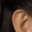Tiny Star Stud, Unisex, Gold, Silver SS034 SS341 SS342 SS343 SS344 Butterfly End, SS353 SS485 Screw Ball End (Type A)