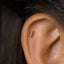 Tiny Bar Threadless Flat Back Earring, 20,18,16ga, 5-10mm Unisex, Surgical Steel SHEMISLI SS589