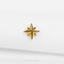 a gold pin with a star on it