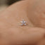 Tiny Starfish Threadless Flat Back Earring, 20,18,16ga, 5-10mm Unisex, Surgical Steel SHEMISLI SS1149