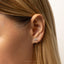 Tiny Moth Threadless Flat Back Earring, 20,18,16ga, 5-10mm Unisex, Surgical Steel SHEMISLI SS1088