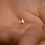 Tiny Manta Ray Threadless Flat Back Earring, 20,18,16ga, 5-10mm Unisex, Surgical Steel SHEMISLI SS1066