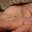 a person's hand holding a tiny gold flower