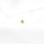 a single gold star on a white surface