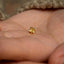a person's hand holding a tiny gold flower