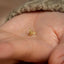 a person's hand holding a tiny gold bee stud