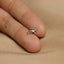 Tiny Bobcat Threadless Flat Back Earring, 20,18,16ga, 5-10mm Unisex, Surgical Steel SHEMISLI SS1030