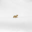 a small gold cat brooch sitting on top of a white cloth