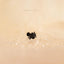 Tiny Spider Threadless Flat Back Earring, 20,18,16ga, 5-10mm, Unisex, Surgical Steel, SHEMISLI SS561