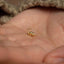 a tiny gold nose ring with a small dinosaur on it