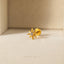Tiny Star Threadless Flat Back Earring, 20,18,16ga, 5-10mm Unisex, Surgical Steel SHEMISLI SS902