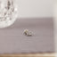 Tiny Paw Threadless Flat Back Earring, 20,18,16ga, 5-10mm Unisex, Surgical Steel SHEMISLI SS887