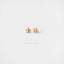 Tiny Sea Turtle Stud Earring, Unisex, Gold, Silver SHEMISLI - SS159