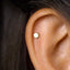 Super Tiny Hexagon Stud Earring, Unisex, Gold, Silver SHEMISLI SS855 Butterfly End, SS856 Screw Ball End (Type A)