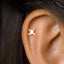 Tiny Frog Stud Earring, Unisex, Gold, Silver SS699 Butterfly End, SS700 Screw Ball End (Type A) LR