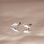 Tiny Parasaurolophus Dinosaur Stud Earring, Unisex, Gold, Silver SS715 Butterfly End, SS716 Screw Ball End (Type A) LR