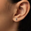 Tiny Seahorse Stud Earring, Unisex, Gold, Silver SS701 Butterfly End, SS702 Screw Ball End (Type A) LR