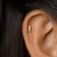 Tiny Seahorse Stud Earring, Unisex, Gold, Silver SS701 Butterfly End, SS702 Screw Ball End (Type A) LR