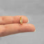 Simple CZ Conch Hoop Earring, Huggies, 8, 9, 10mm Unisex, Gold, Silver SHEMISLI SH182, SH183, SH184