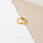 Double Lined Conch Ring, Hoop Earring, 16ga, 8 or 10mm, Unisex, G23 Titanium SHEMISLI SH406, SH407