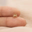 Tiny Spider Threadless Flat Back Earring, 20,18,16ga, 5-10mm Unisex, Surgical Steel SHEMISLI SS1120