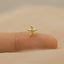 Tiny Starfish Threadless Flat Back Earring, 20,18,16ga, 5-10mm Unisex, Surgical Steel SHEMISLI SS1149