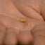 Tiny Moth Threadless Flat Back Earring, 20,18,16ga, 5-10mm Unisex, Surgical Steel SHEMISLI SS1088