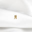 a gold pin with a man on it on a white shirt