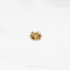 a close up of a gold brooch on a white background