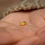 a person's hand holding a tiny gold nose ring