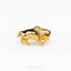 a gold brooch depicting a lion on a white background