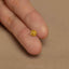 Tiny SunFlower Threadless Flat Back Earring, 20,18,16ga, 5-10mm Unisex, Surgical Steel SHEMISLI SS1100