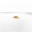 a gold broccoli brooch sitting on top of a white surface
