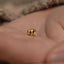 a small gold elephant stud on a person's hand