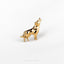 a gold dog pin with a black and white dog on it
