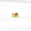 a snail is sitting on a white surface