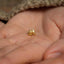a tiny gold elephant charm on someone's hand