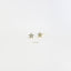 5 Leaf CZ Star Flower Stud Earring, Unisex, Gold, Silver SHEMISLI SS321
