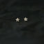 5 Leaf CZ Star Flower Stud Earring, Unisex, Gold, Silver SHEMISLI SS321