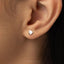 Tiny Angelfish Studs, Fish Earring, Unisex, Gold, Silver SHEMISLI SS657 Butterfly End, SS658 Screw Ball End (Type A) LR
