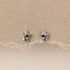 Tiny Unicorn Stud Earring, Unisex, Gold, Silver SS707 Butterfly End, SS708 Screw Ball End (Type A) LR