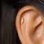 Tiny Parrot, Cockatiel Bird Stud Earring, Unisex, Gold, Silver SS711 Butterfly End, SS712 Screw Ball End (Type A) LR
