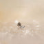 Tiny White Stone Marquise Threadless Flat Back Lip Labret Stud, 18,16ga, 6-10mm, Unisex, Surgical Steel, SHEMISLI SS573
