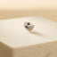 Tiny Fan Shape Shell Threadless Flat Back Lip Labret Stud, 18,16ga, 6-10mm Unisex, Surgical Steel SHEMISLI SS926