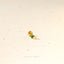 Tiny Square Emerald Stone Threadless Flat Back Lip Labret Stud, 18,16ga, 6-10mm, Unisex, Surgical Steel, SHEMISLI SS557