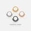 Beaded CZ Septum Ring, Hinged Clicker Hoop, Nose Ring, 16ga 8mm or 10mm, Surgical Steel, SHEMISLI SH422, SH423 - Shemisli Jewels