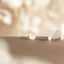 Iridescent Clear Rose Flower Stud Earrings, SHEMISLI SS445 Butterfly End, SS792 Screw Ball End (Type A) - Shemisli Jewels