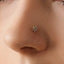 Tiny Star Threadless Flat Back Nose Stud, 20,18,16ga, 5-10mm Unisex, Surgical Steel SHEMISLI SS906