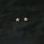 5 Leaf CZ Star Flower Studs Earrings, Gold, Silver SHEMISLI SS061 - Shemisli Jewels - SS061G1 - 5 Leaf CZ Star Flower Studs Earrings, Gold, Silver SHEMISLI SS061
