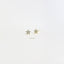 5 Leaf CZ Star Flower Studs Earrings, Unisex, Gold, Silver SHEMISLI SS321